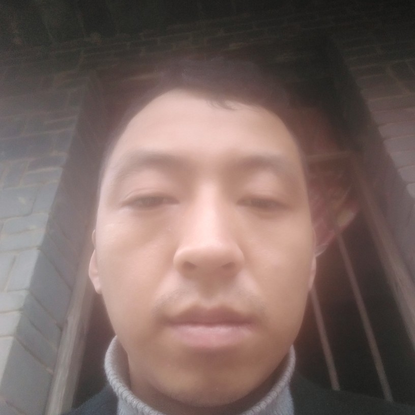 青龙飞飞的照片