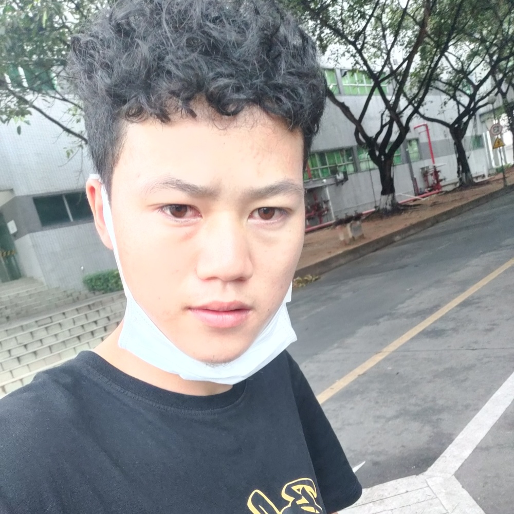 老鼠打洁净的照片