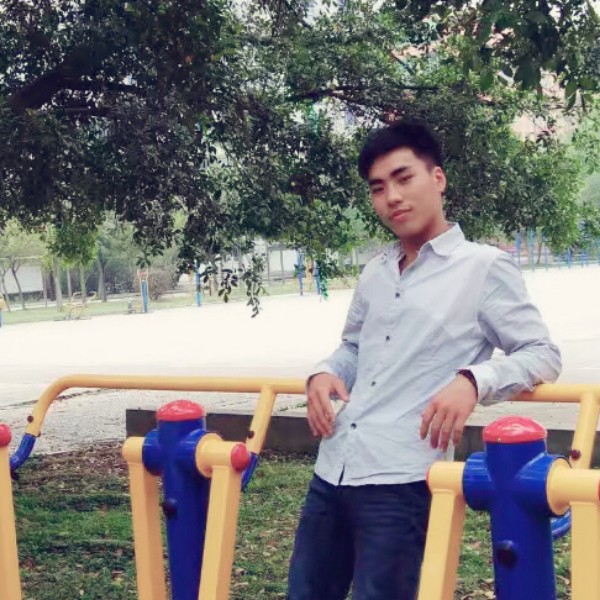 独寂方斑马的照片