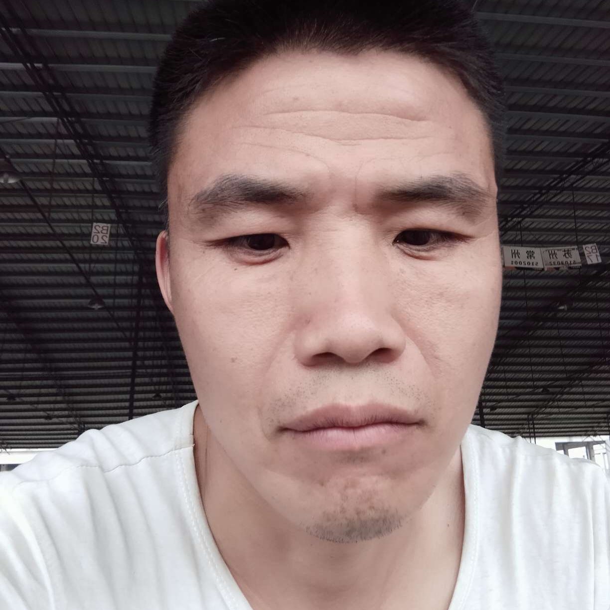 音响回眸冷艳的照片