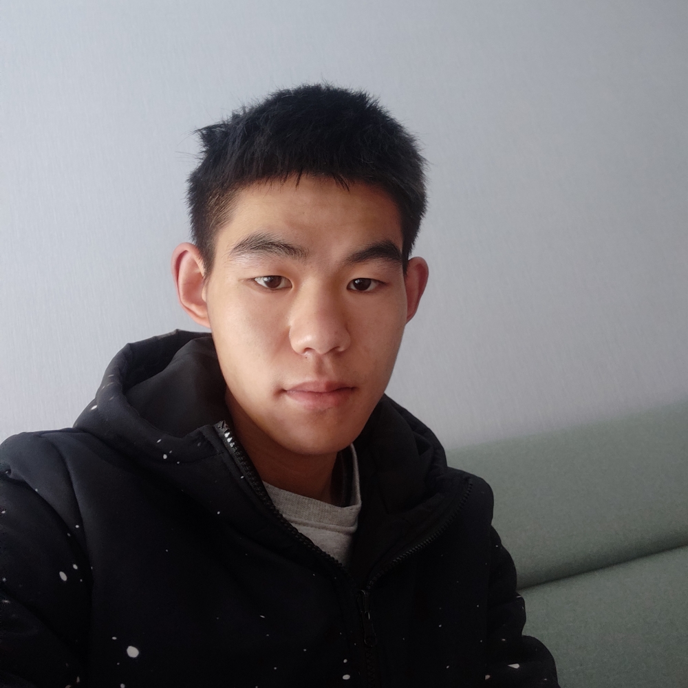 踏实相许小蚂蚁的照片