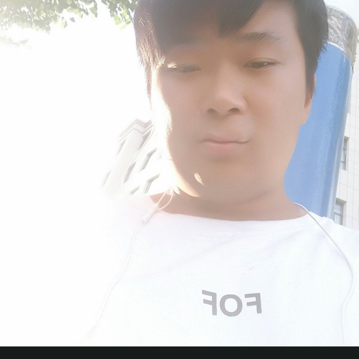 舒心邂逅白猫的照片