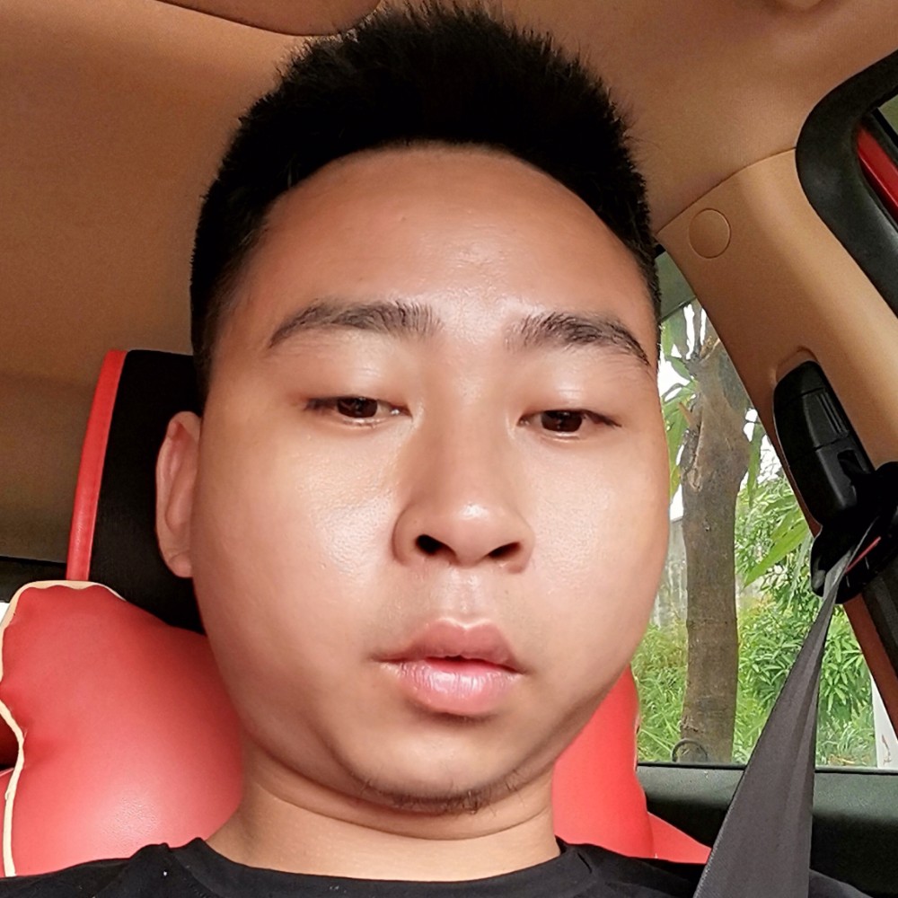 小蚂蚁放弃勤奋的照片