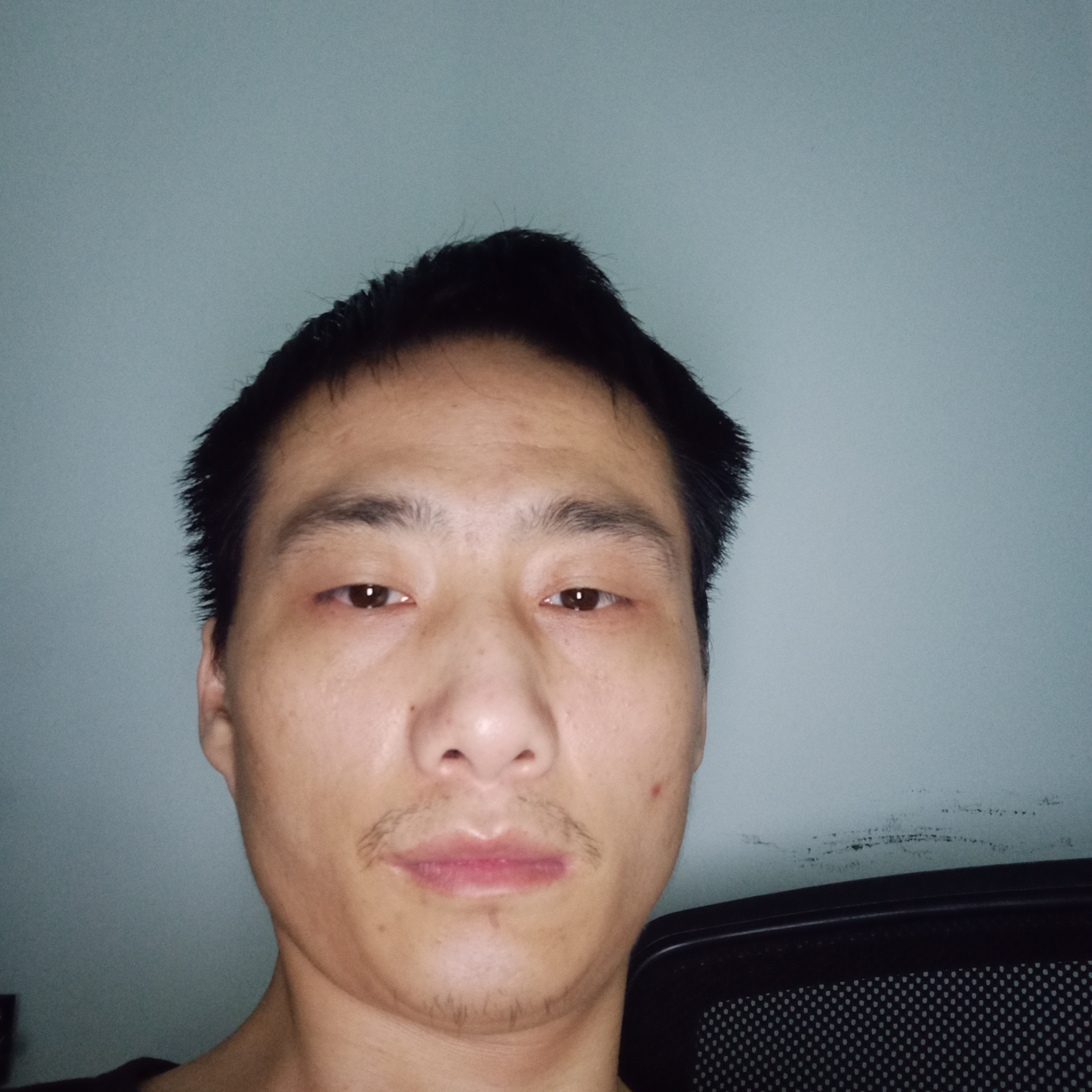 无私回眸长颈鹿的照片