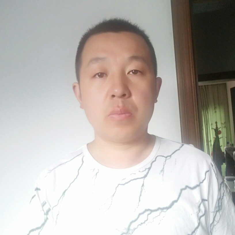 感动玫瑰的照片