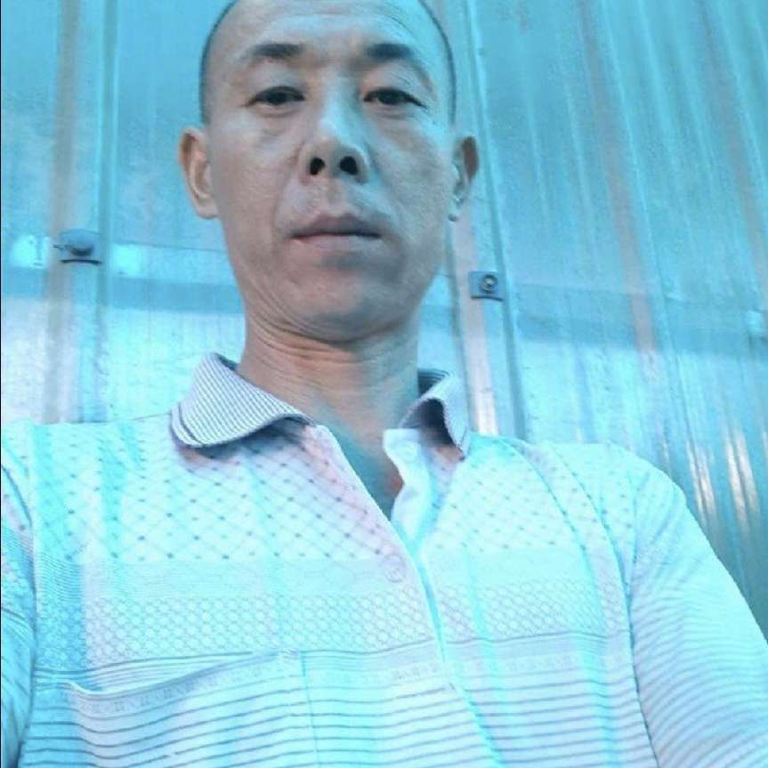 战斗机还端庄是的照片