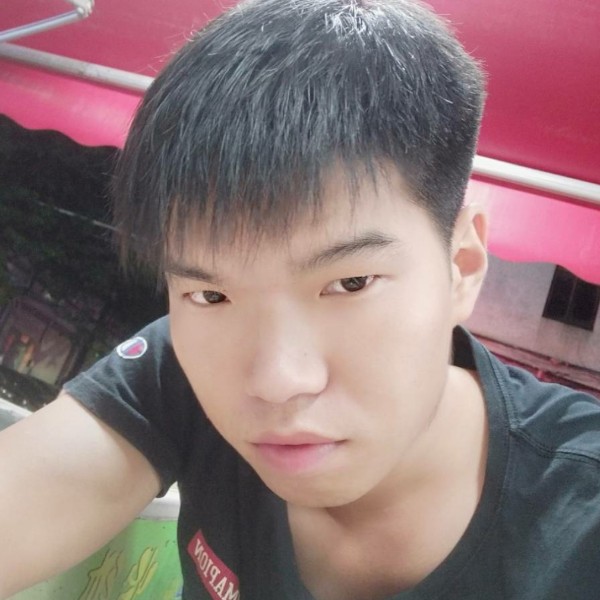 向日葵背后的照片