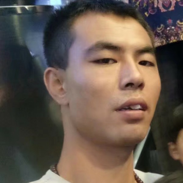 繁荣改变鸵鸟的照片