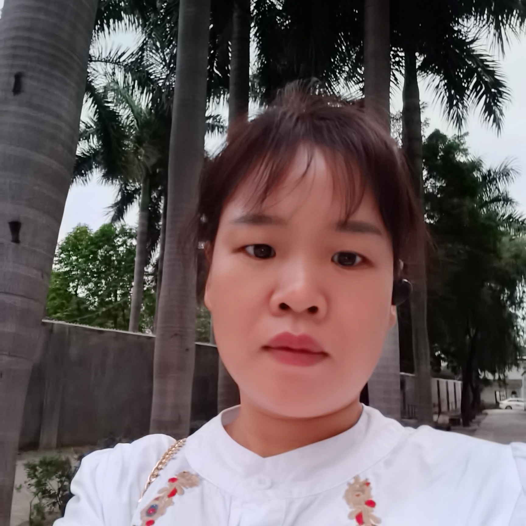 浮萍草人生的照片