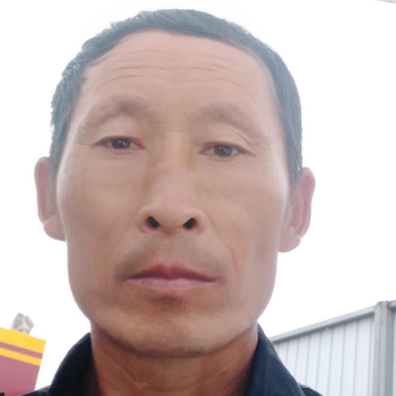 爱没有无缘无故的的照片