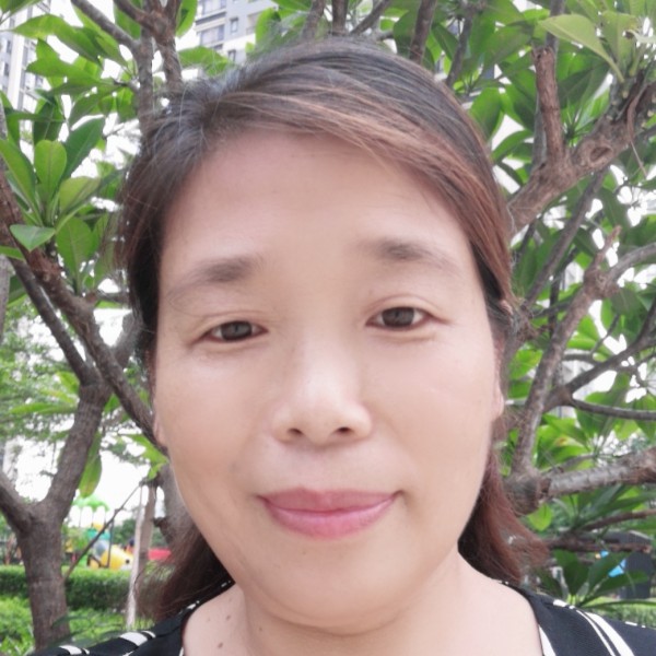 老鼠多么现代的照片