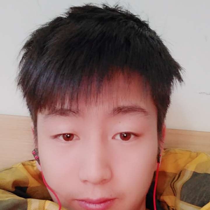 小灰灰11的照片