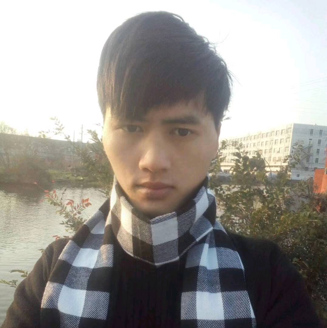向狼的照片
