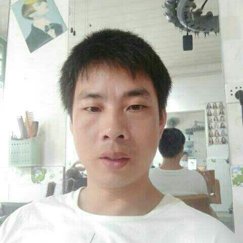 怕孤独大树的照片