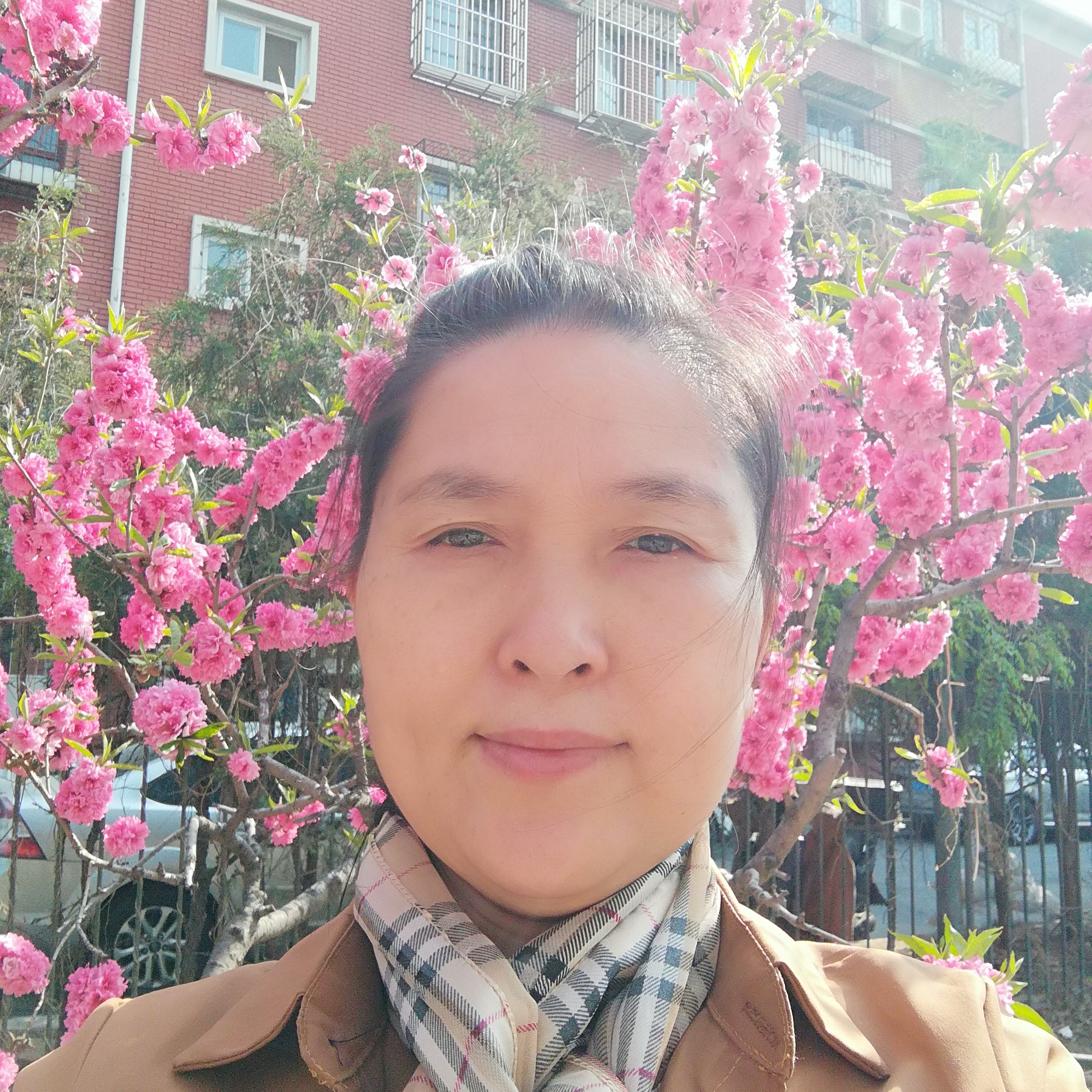 银耳汤悲凉的照片