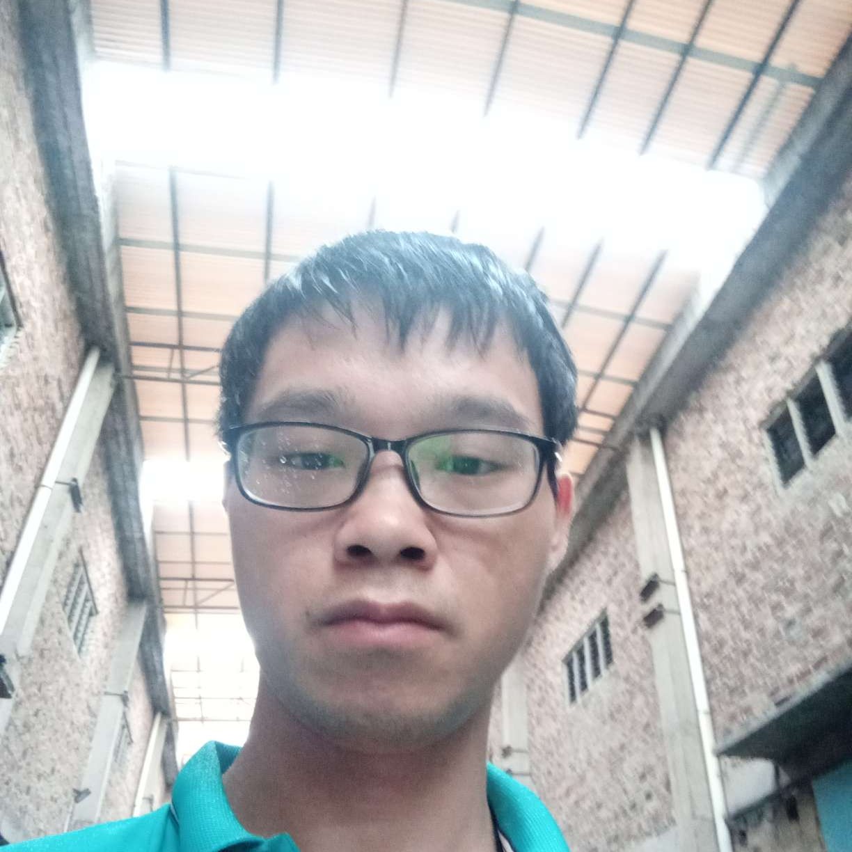 紫菜迎缥缈的照片