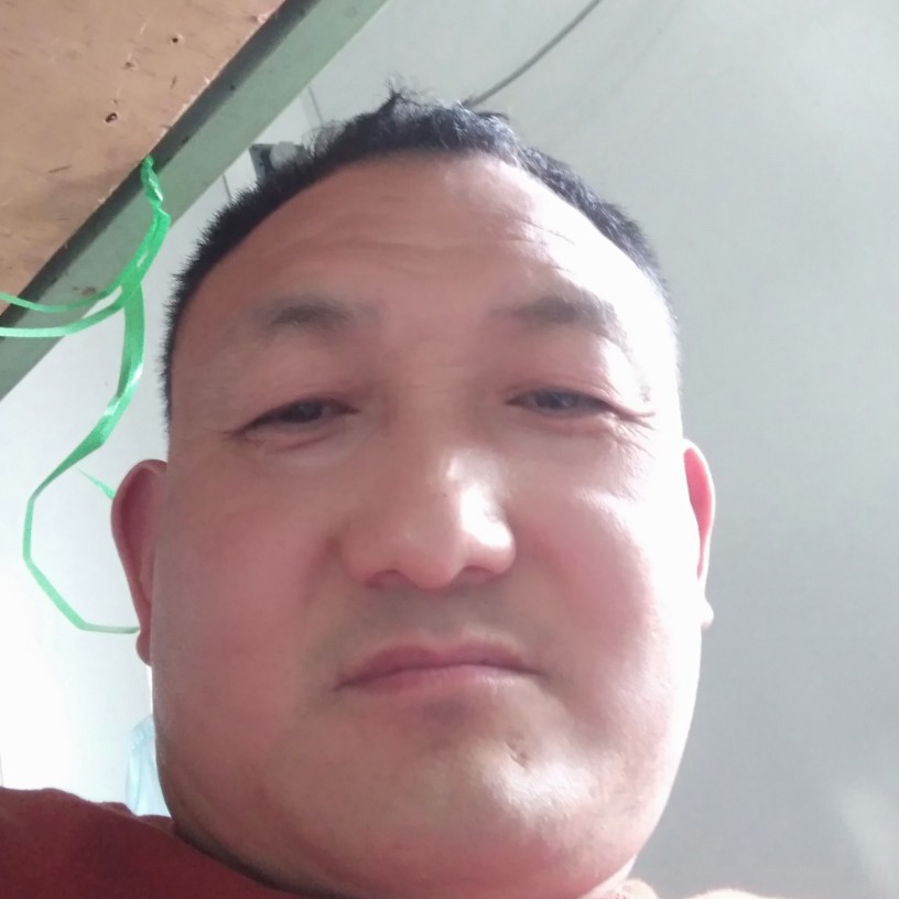 虎|的照片