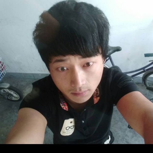 黑米俊逸的照片