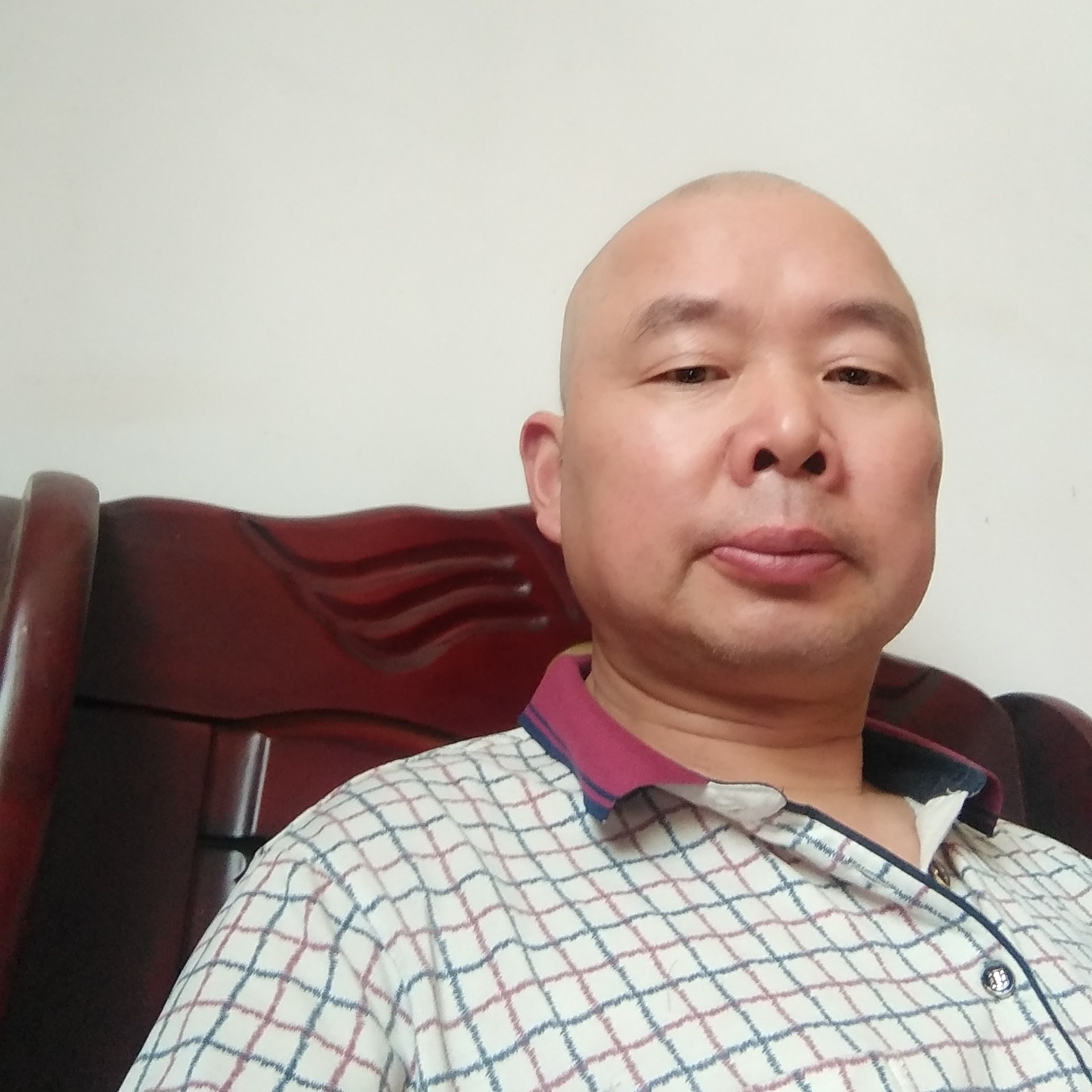 羊倾心缥缈的照片