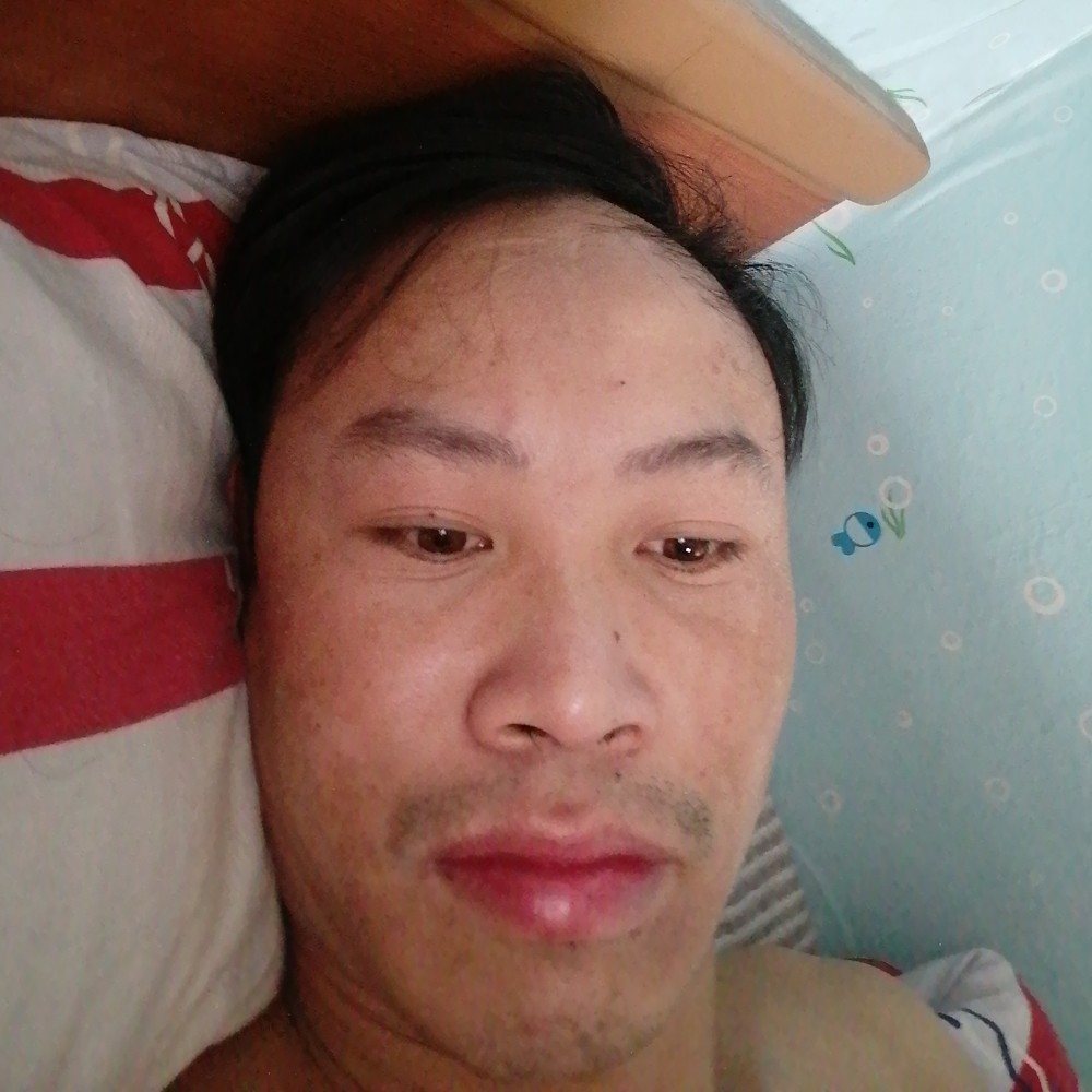 鸵鸟清爽的照片