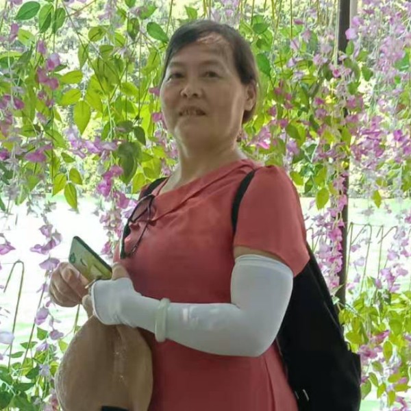 海燕的光亮的照片