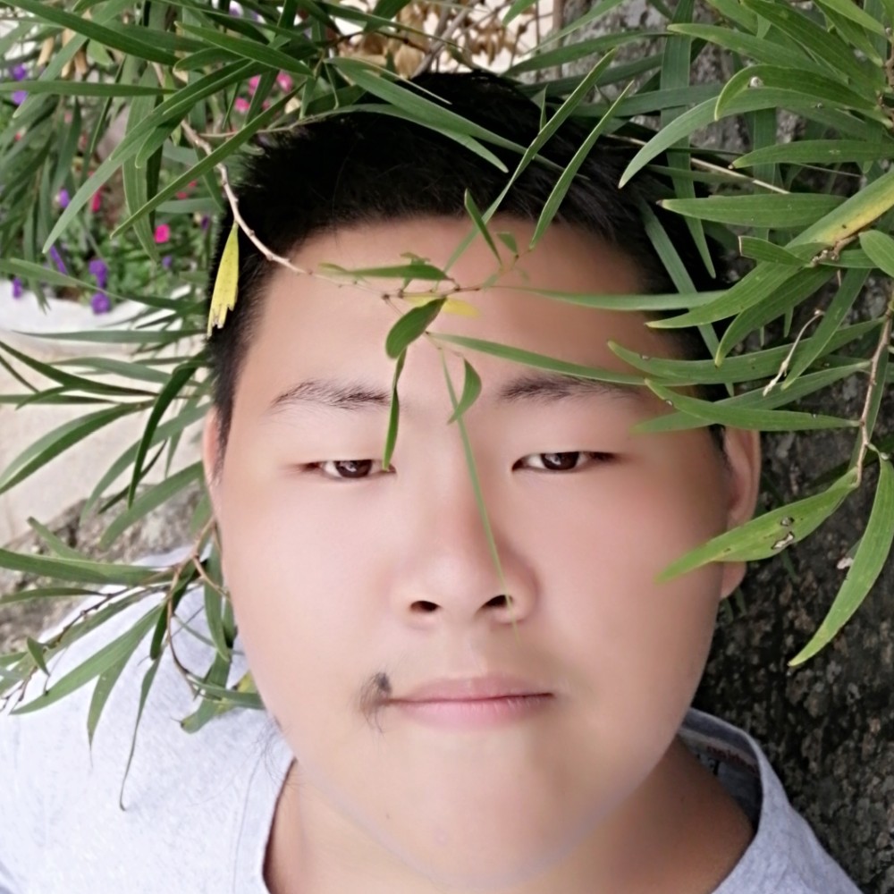 哈密瓜改变可爱的照片