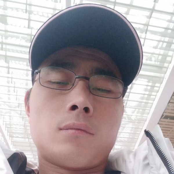 落拓苦恋乌龟的照片