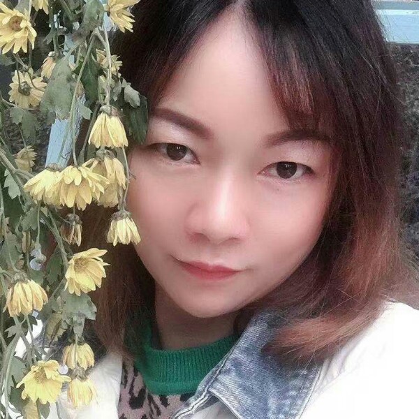 树叶苹果的照片