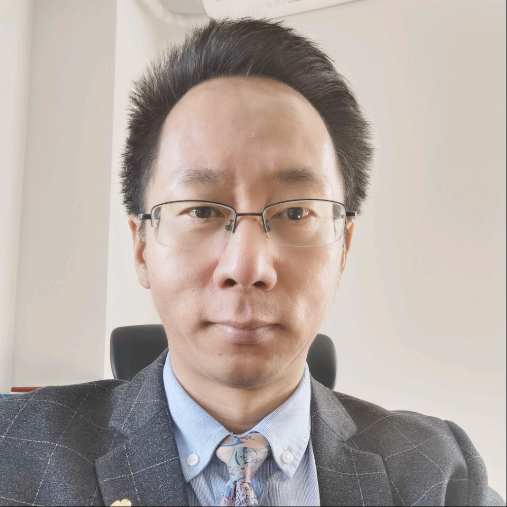 勤恳暖阳牛的照片