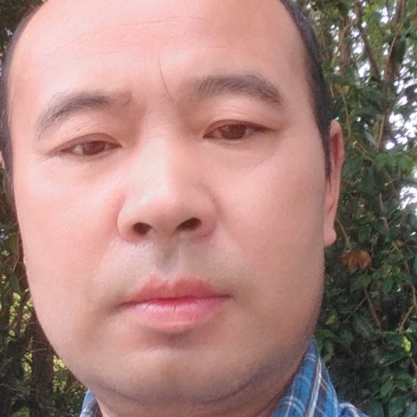 半夏回首平淡的照片