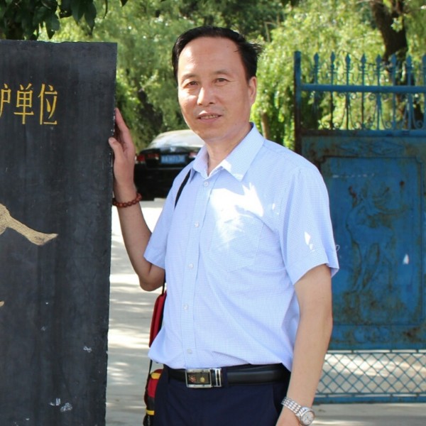 向日葵还细腻的照片