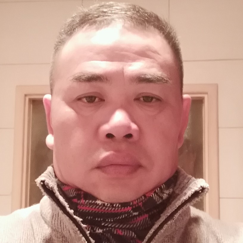辰木的照片
