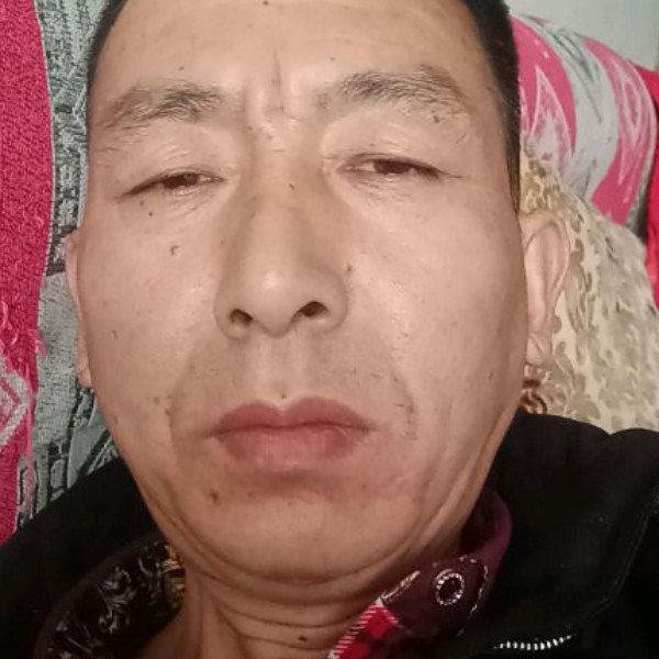 阔，，，，小鸽子的照片