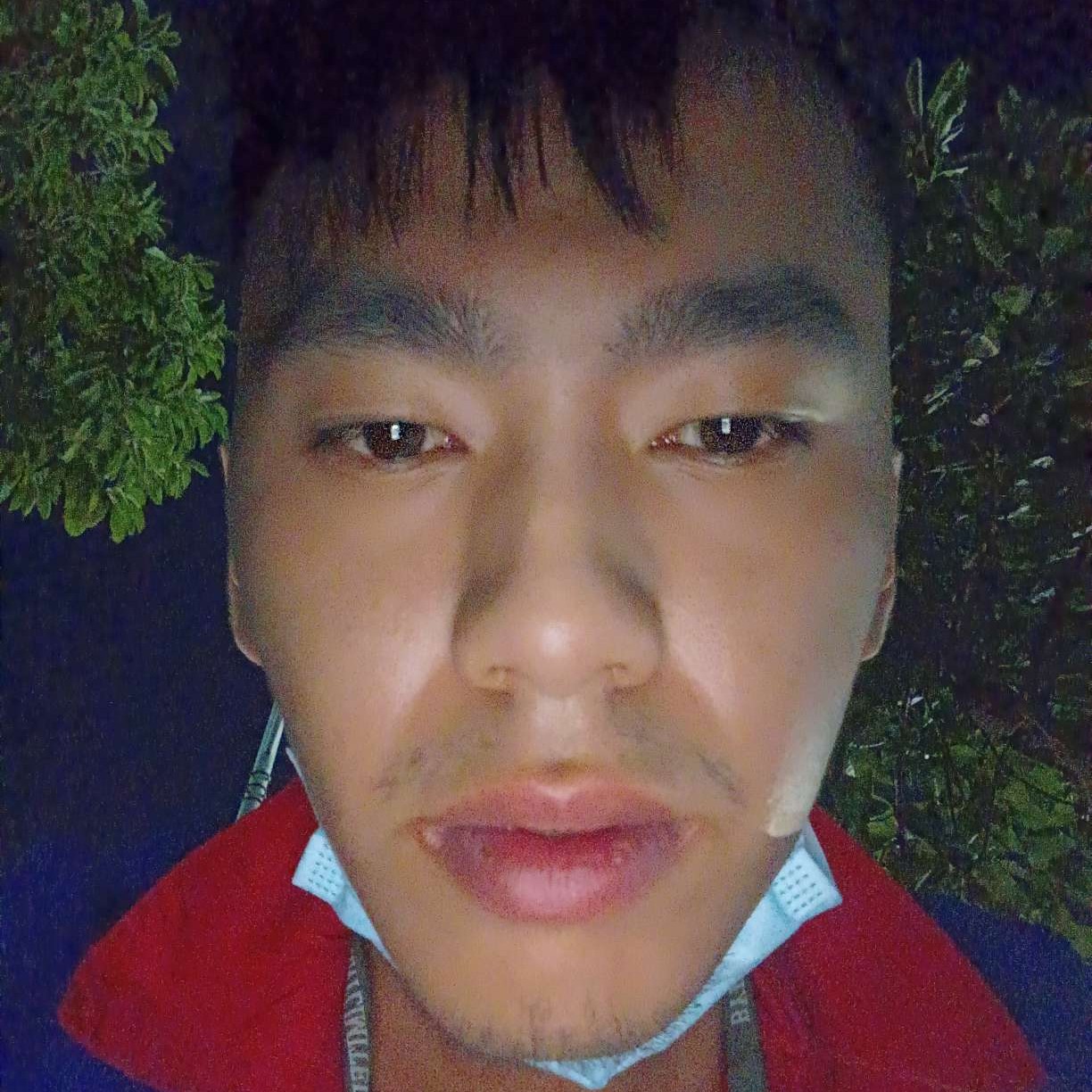 悲凉回首草丛的照片