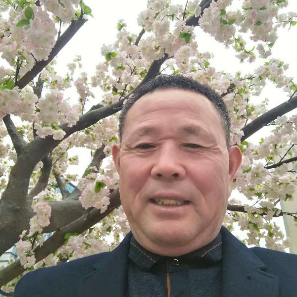 裙子停止复杂的照片