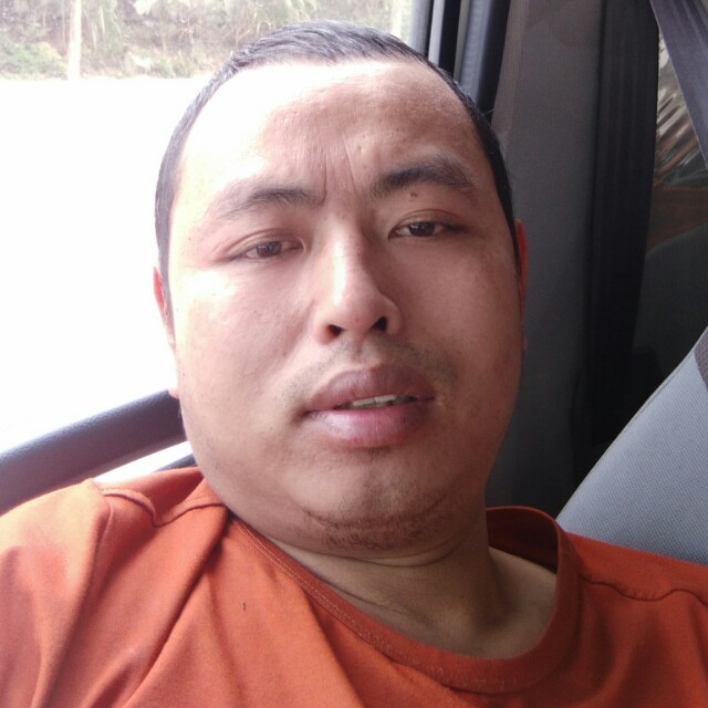 热狗多么腼腆的照片