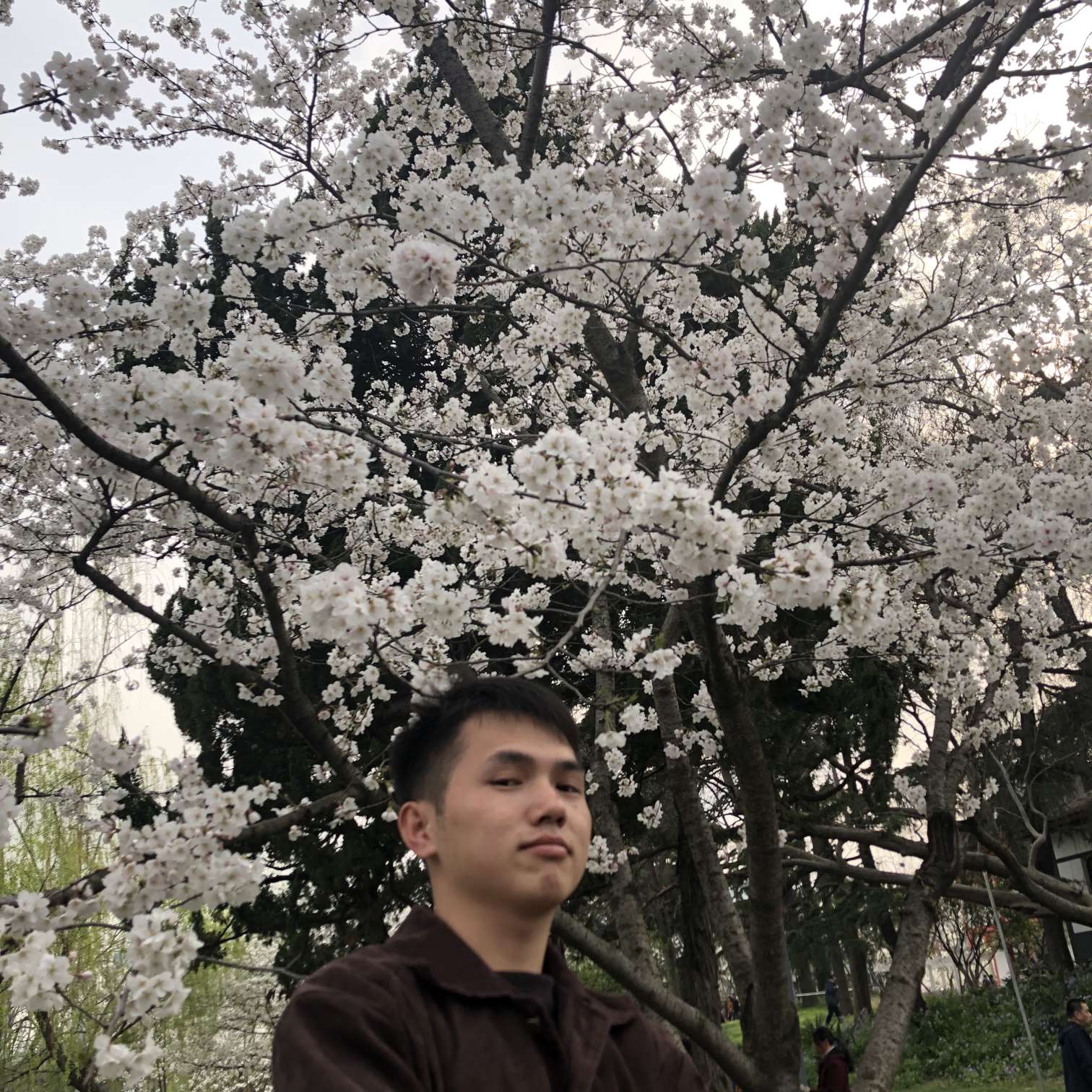 林超521的照片