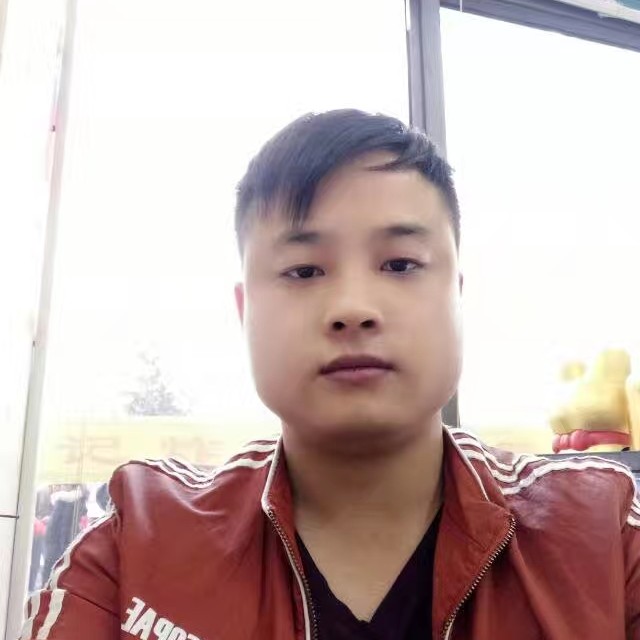 笨笨苦恋孤心的照片