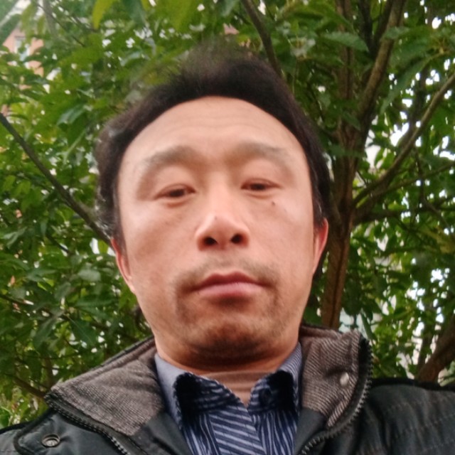 猎豹活泼的照片