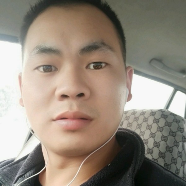 执着小蝴蝶的照片