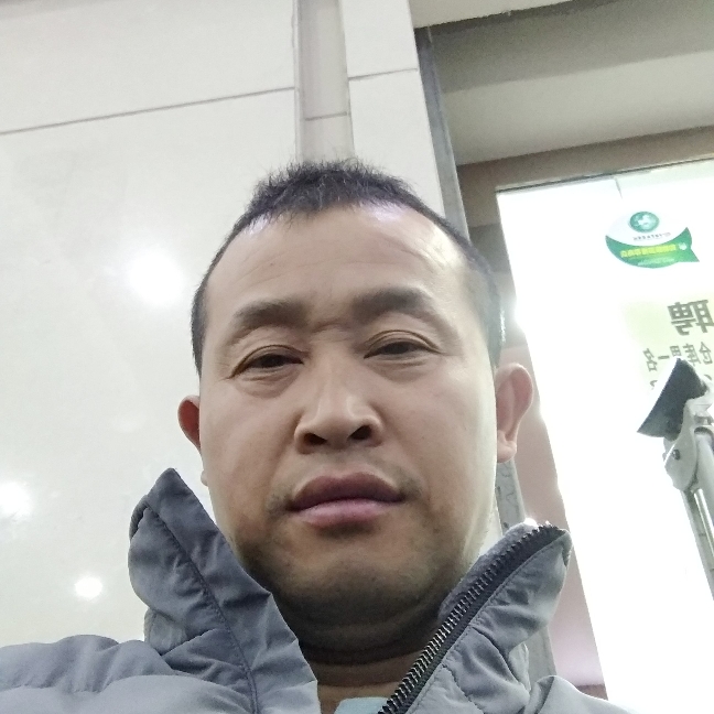 隐忍猎豹的照片