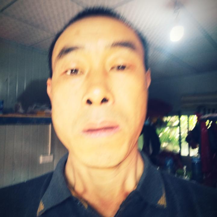 493272的照片