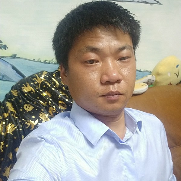 心灵美大树的照片