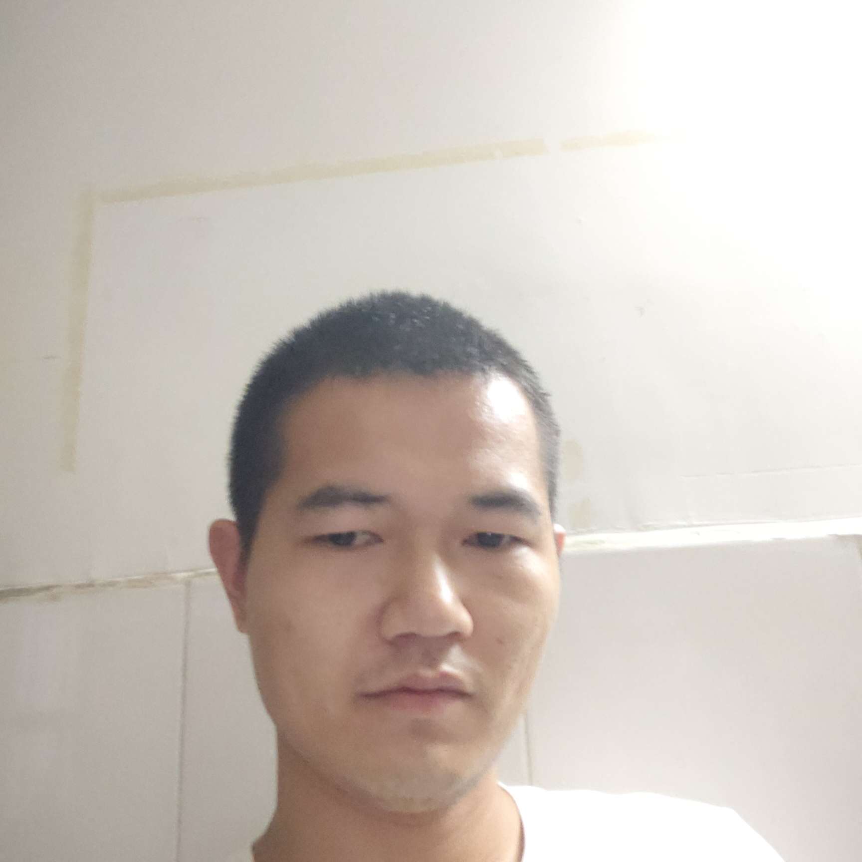 细心的小太阳的照片