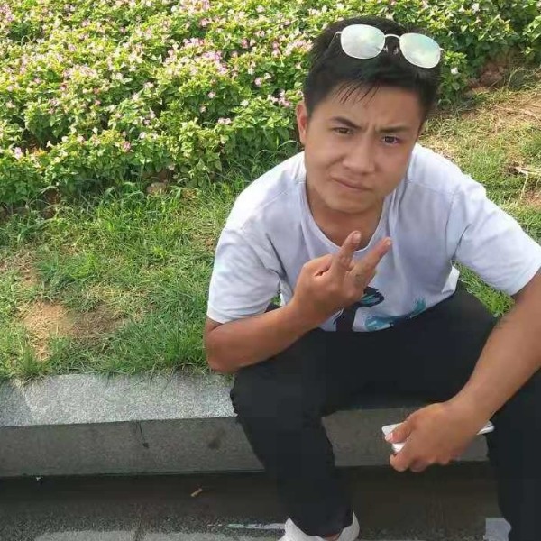 娇气浅吻向日葵的照片