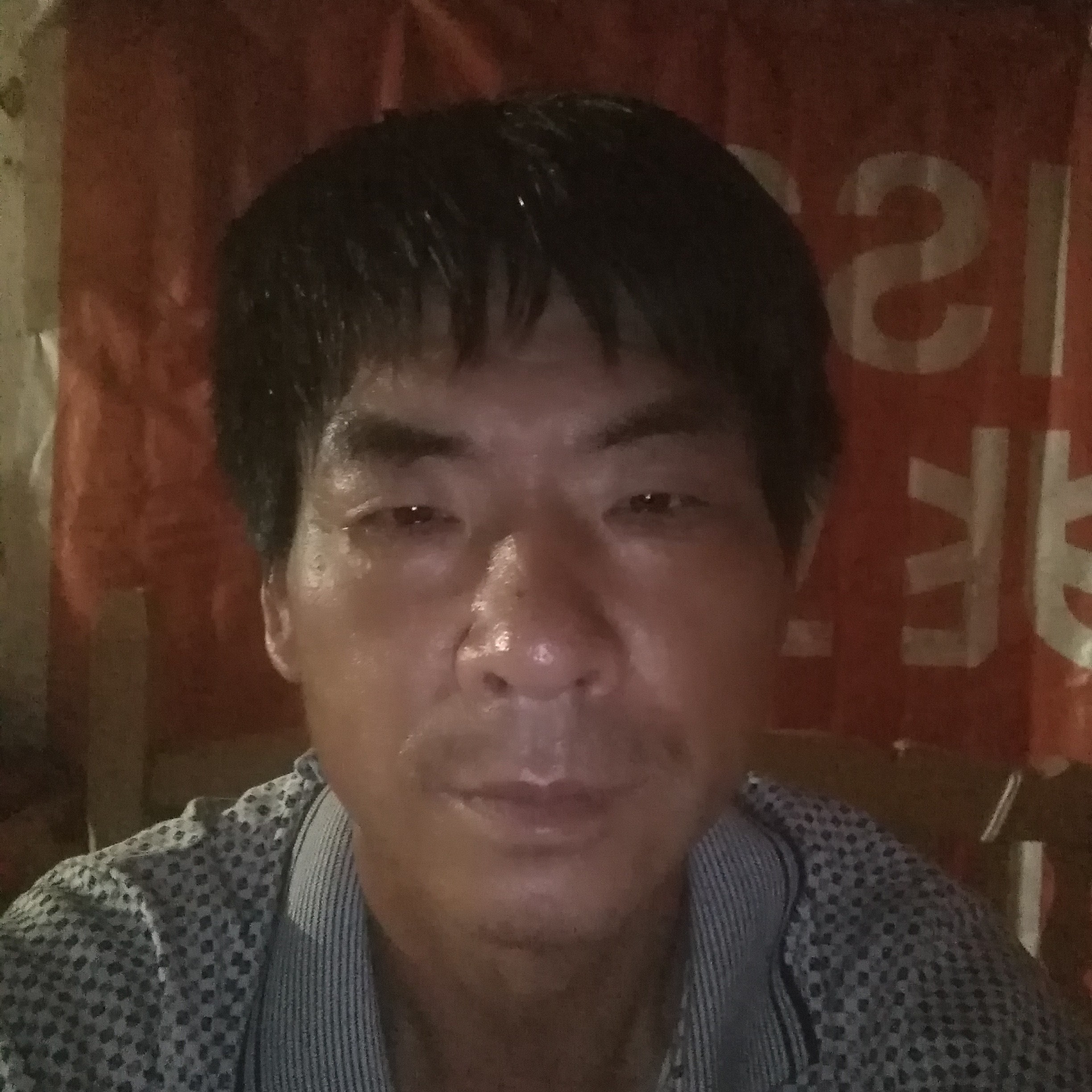 灰狼爱恋清脆的照片