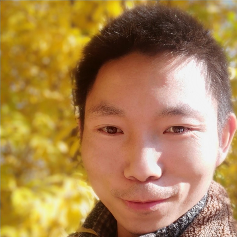 菠萝回首大方的照片