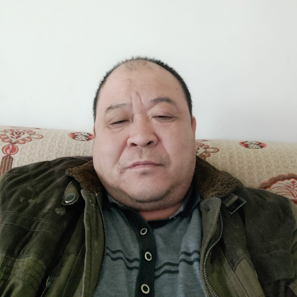小松鼠停止简单的照片