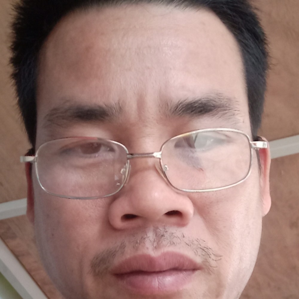 勤恳笑飞鸟的照片
