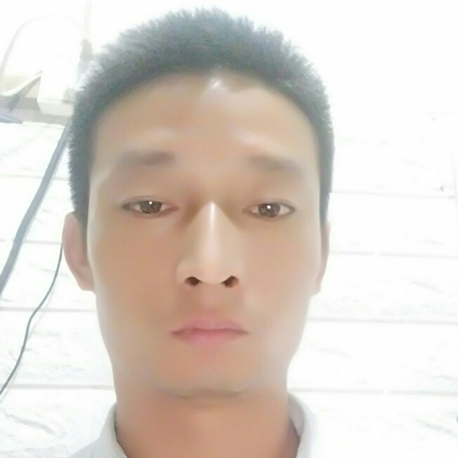 青苔满园的照片